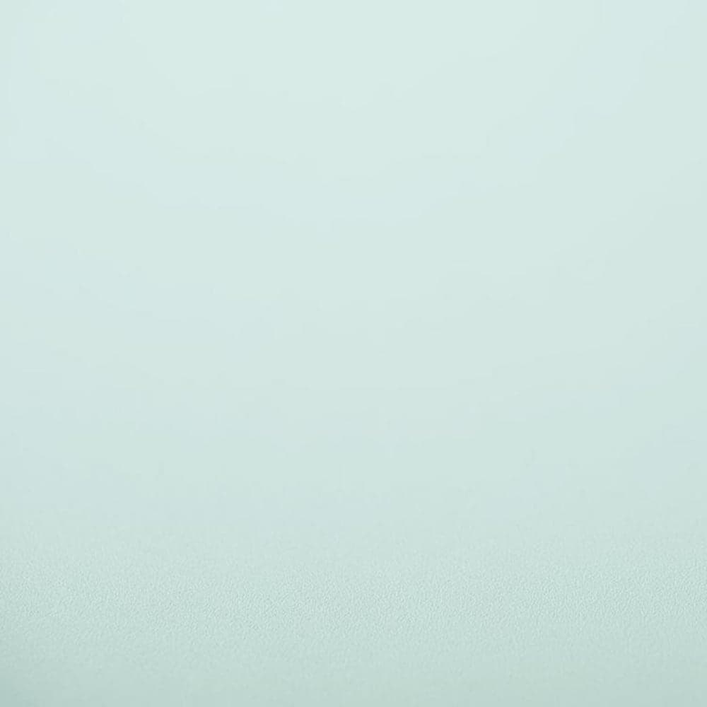 Clean Mint